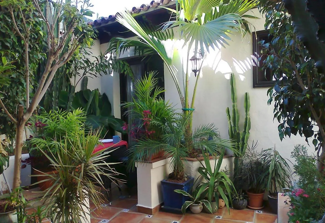 Apartment Aptos Monasterio De San Antonio 1 Icod De Los Vinos